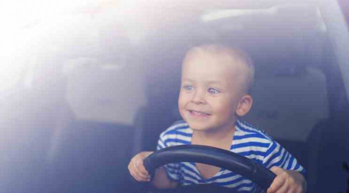 Little boy playing with a steering wheel in a car