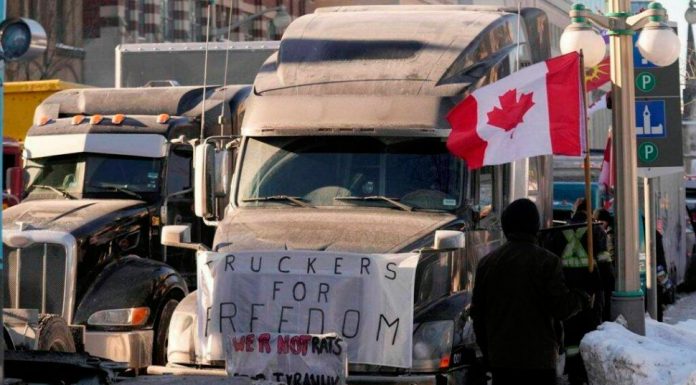 Truck at freedom convoy protesting with slogan of truckers for freedom