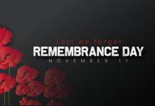 Remembrance day with typography decorated by red poppies. Lest we forget typography poster