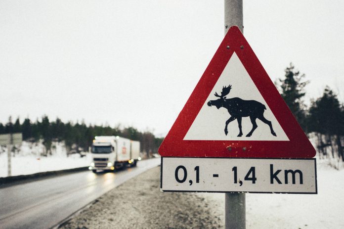 Traffic warning sign with moose near a road in arctic