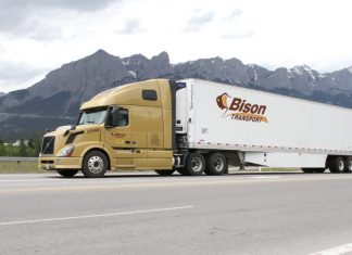 truck of bison transport